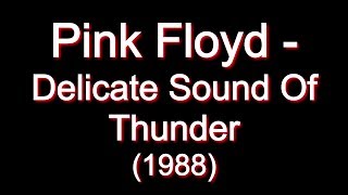 Pink Floyd - Delicate Sound Of Thunder [Full Album]