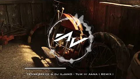 Tennebreck & Dj Iljano - Tum Hi Aana ( Remix )