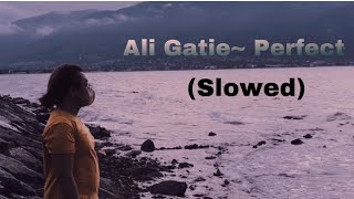 Video thumbnail of "Ali Gatie- Perfect (Slowed)"