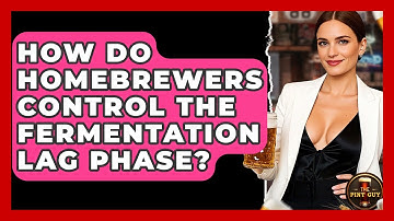 How Do Homebrewers Control The Fermentation Lag Phase? - The Pint Guy