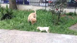 She Ra Ve Kankaları 2