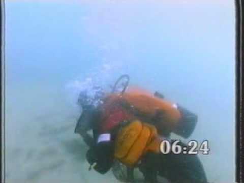 Female Presenter Anneka Rice Diving In Full Face M...