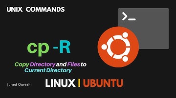 How to Recursively Copy Directory and Files to the Current Directory in Linux | cp -R in Linux