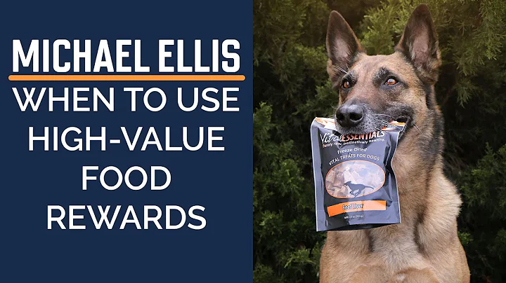 Michael Ellis on When to Use High-Value Food Rewards