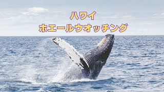 ホエールウォッチ ハワイの伝統文化に触れるセレモニー「エ・ホ・マイ