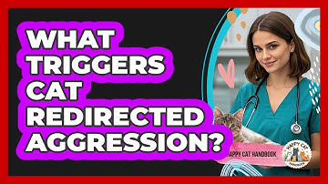 What Triggers Cat Redirected Aggression?