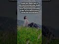 Stop menyakiti diri sendiri