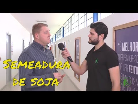 Vídeo: Sueco Em Crescimento: Preparação Do Solo, Fertilização, Semeadura