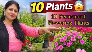 10 Permanent Flowering Plants परमनट समर In March & April परमनट समर फलवर पलटस क नम.
