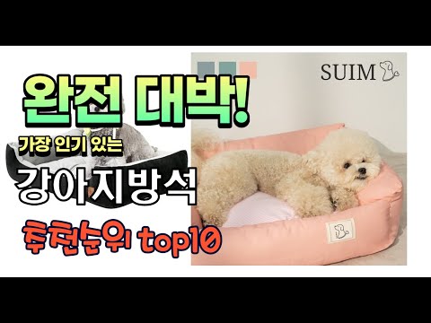 2023년 8월 가장 인기있는 강아지방석 추천 판매순위 TOP10 가성비 평점 후기 비교