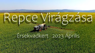 Repce Virágzása - Érsekvadkert 2023