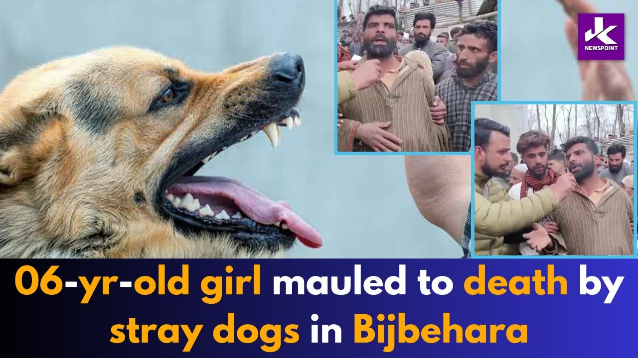 *Stray dogs maul minor girl to death in Bijbehara* - YouTube