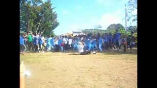 OLPHA harlem shake :D