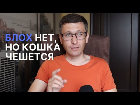 Как лечить блошиный дерматит у кошки?