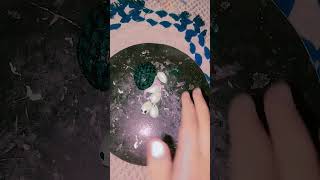 Diy Mini Turtle With Kanishka