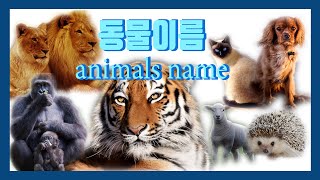 동물 동물종류 동물들 키즈 교육 동물이름 animals name English korean
