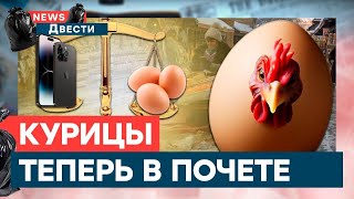 🥚Путину НЕ НУЖЕН сытый народ, ОБМЕН iPhone на ЯЙЦА | News ДВЕСТИ