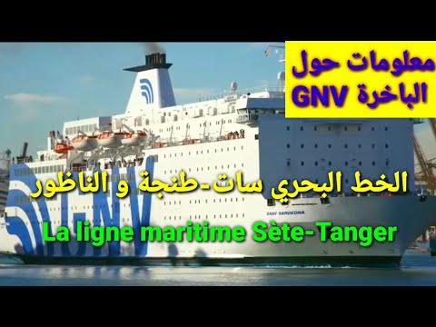 Video: Tanger Sluipt In November Naar Steam