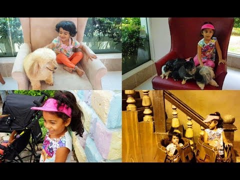 my-final-day-thailand-vlog---dreamworld-bangkok-tour---yummy-tummy-vlog