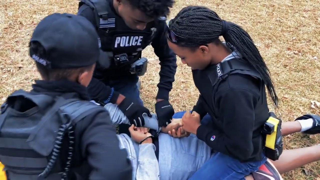 Officer JJ  and squad make two felony arrest.