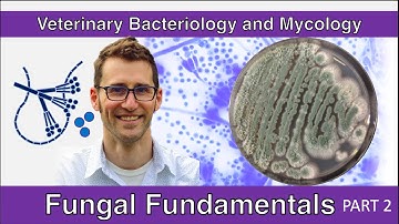 Fungal Fundamentals (Part 2) - Veterinary Bacteriology and Mycology
