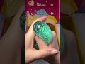 Perfect Squishy