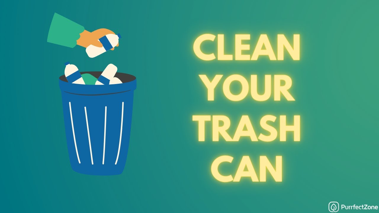 Clean The Bottom Of Your Trash Can With Purrfectzone Bidet sprayer