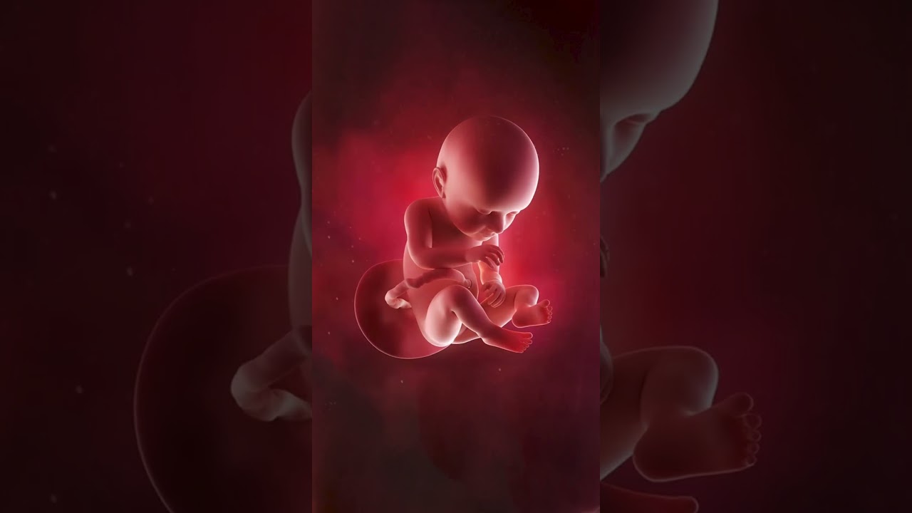 Baby ஒரு கிலோ  weight எப்போது வரும்?   #pregnancytips #pregnancydoubts #shorts