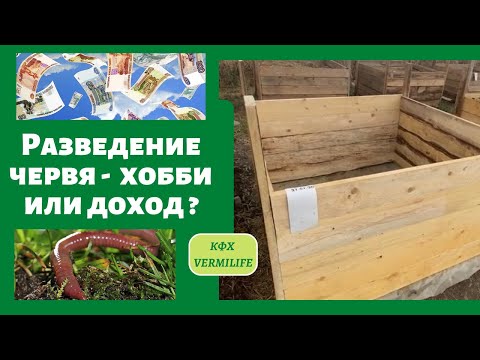 Разведение червя  - хобби или доход. Простое решение утилизации отходов червём и получение доходов.