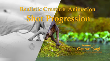 How to create realistic creature animation... 🐱‍👓 Step by step Shot Progression...🐱‍🚀🐱‍👓🐱‍🐉🐱‍💻🐱‍👤💖