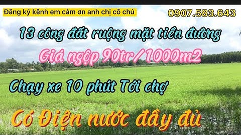 kẹt tiền bán gấp 13 công đất ruộng mặt tiền đường giá rẽ 90tr/1000m2,Huyện Long Mỹ,Hậu Giang