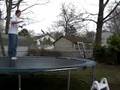 Front Flip off the Trampoline