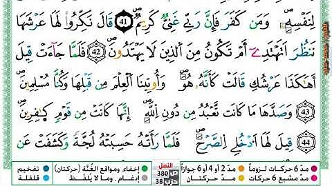 (مكررة) حفظ سورة النمل (09) للقارئ الشيخ محمد سايد