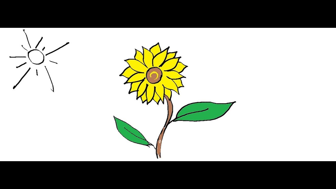 Sunflower Drawing Easy For Kids