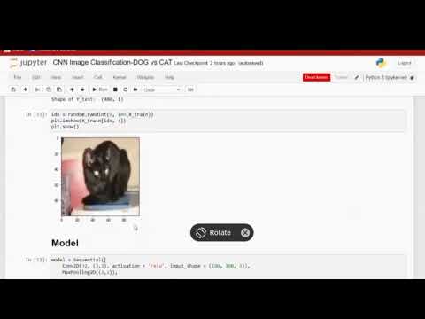 CNN Image Classification