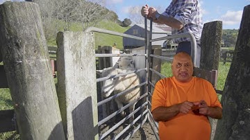 PART 5 STV - Election video in NZ Sign Language