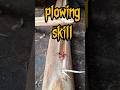 plowing wooden fireboard #firemaking #survivalfire #primitivefire