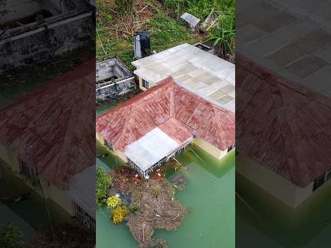 Content Manchester Jamaica Flooding #jamaicawalkby #jamaica #shorts #trendingshorts
