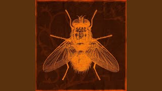 Download Lagu Humdrum MP3