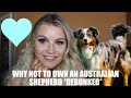 WHY NOT TO OWN AN AUSTRALIAN SHEPHERD//  DEBUNKED