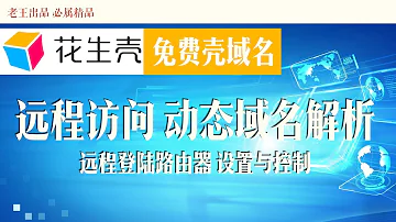 花生壳Oray 壳域名 公网IP免费DDNS动态域名解析 远程控制 登陆访问设置路由器 梅林路由做示范 