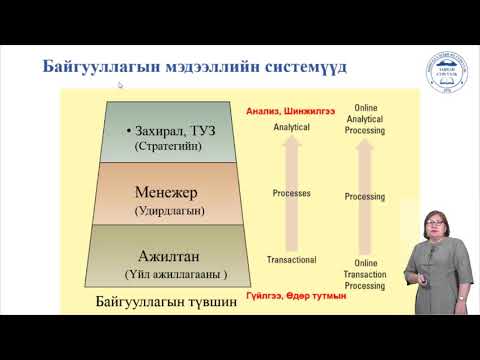 Видео: Удирдлагын шийдвэр гаргах технологи: шаардлага, арга, дүн шинжилгээ