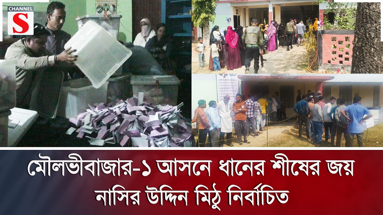 মৌলভীবাজার-১ আসনে ধানের শীষের জয়, নাসির উদ্দিন মিঠু নির্বাচিত | Channel S News