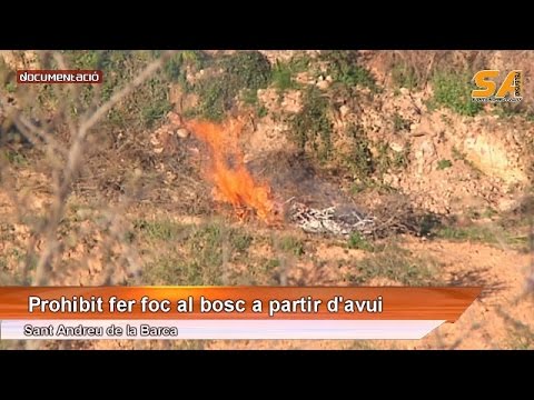 Vídeo: Com Fer Foc Al Bosc