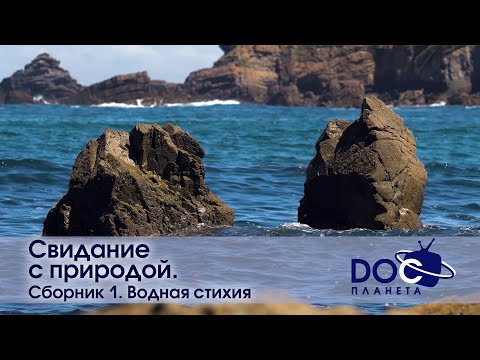 Видео: Свидание с природой. Сезон 1 - Водная стихия - Документальный фильм - Антистресс сериал - Сборник