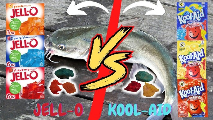 Cut Bait VS Kool-Aid Chicken Catfish Bait Challenge 