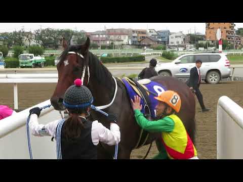 埼玉新聞栄冠賞カンムル優勝