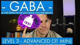 GABA  The Inhibitory Neurotransmitter (+ Alcohol in the Brain) (Level 3  Advanced)