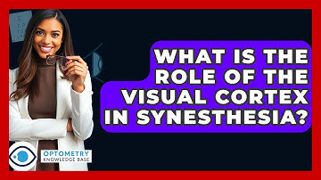 What Is The Role Of The Visual Cortex In Synesthesia? - Optometry Knowledge Base