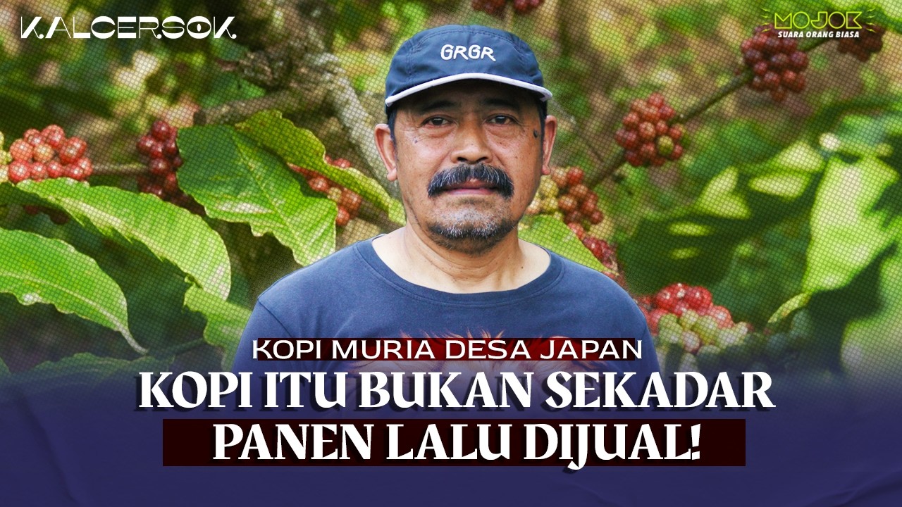 KOPI MURIA, RAHASIA MENJAGA RASA! | KALCERSOK